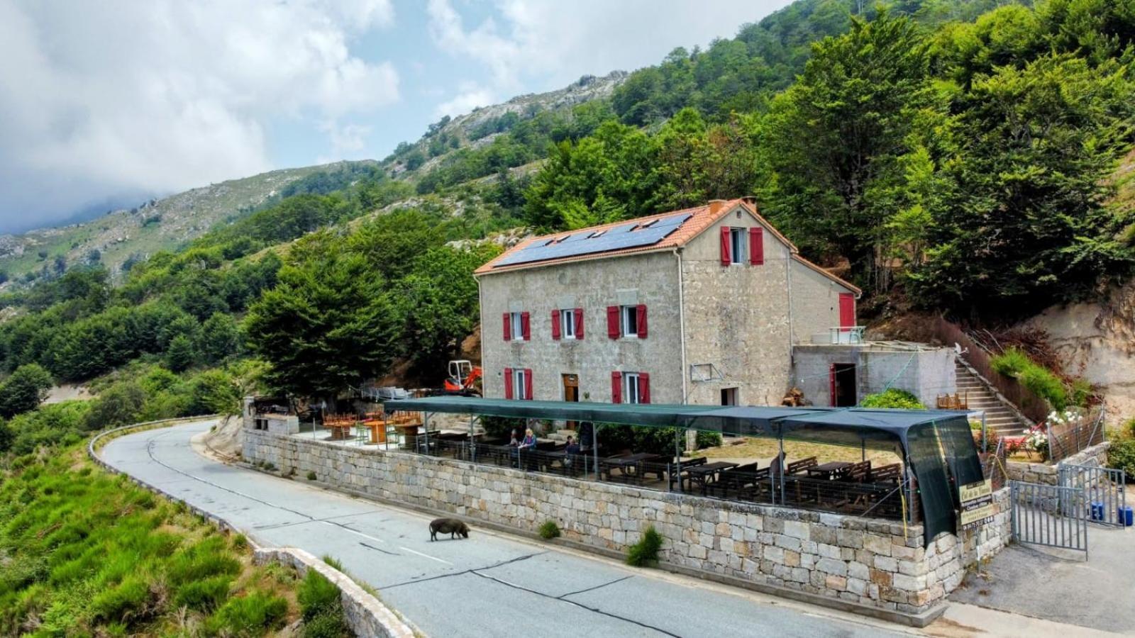 Готель Ferme Auberge Du Col De La Vaccia Olivese Екстер'єр фото